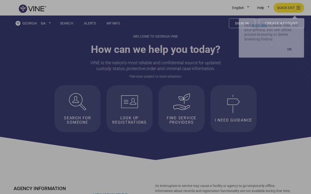 Dooly County VINELink release check through the Georgia portal